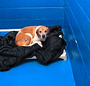 Photo of Wilbur