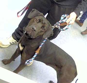 Photo of FANTASIA
