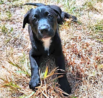 Photo of Ruckus