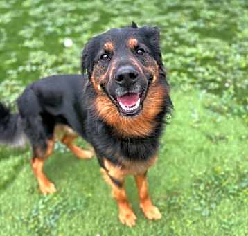 Photo of Sherman