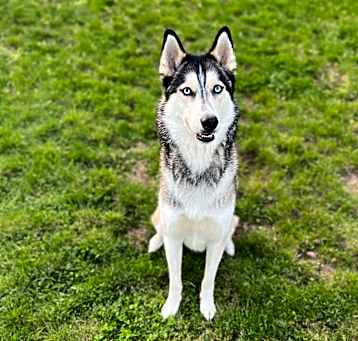 Photo of Tybolt