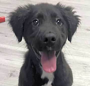 Photo of QUESO/URGENT