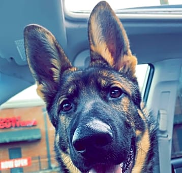 Photo of Storm