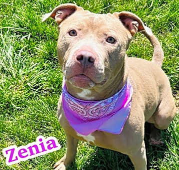Photo of Zenia