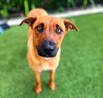 Photo of JAZZ