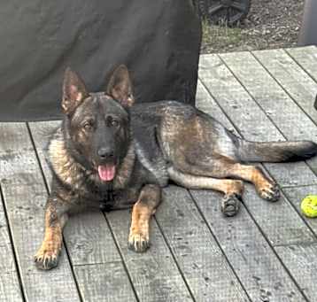 Photo of Tango