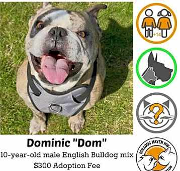 Photo of Dominic