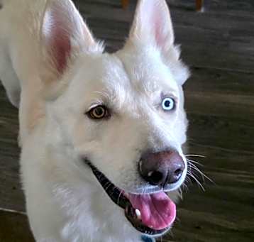 Photo of Alaska