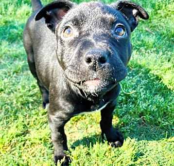 Photo of Maggie