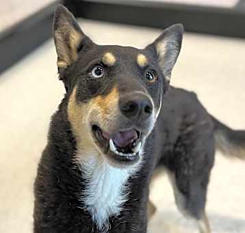 Photo of Wiggles