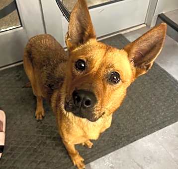 Photo of Pumpkin
