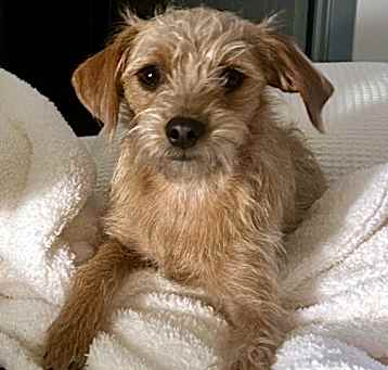Photo of Tasha
