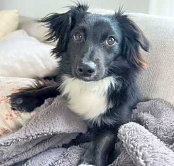 Photo of Oliver  -  So Ca