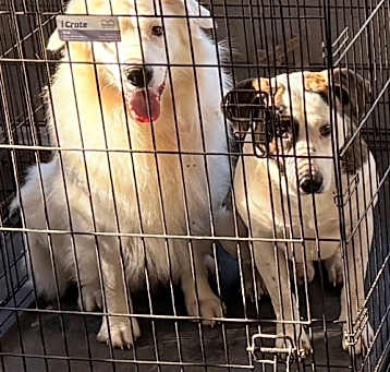 Photo of Rawlings and Briar