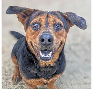 Photo of Choppa