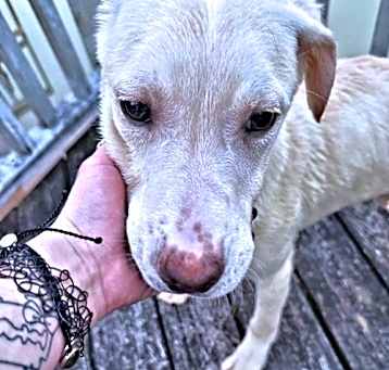 Photo of Cletus