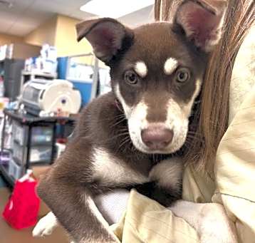 Photo of Thursday