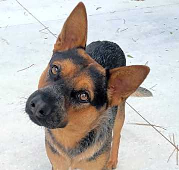 Photo of Riley 25-D0193