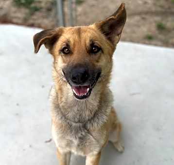 Photo of Gigi 25-D0162