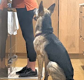 Photo of Jethro
