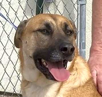 Photo of Bandit