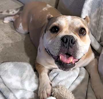 Photo of *MARLEY