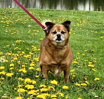 Photo of Patty