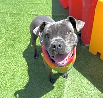 Photo of Athena
