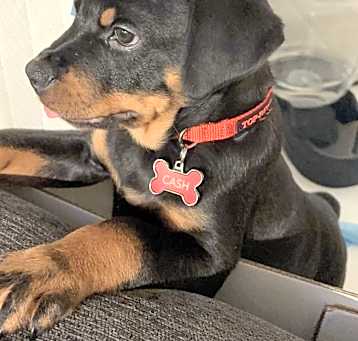 Photo of Cash