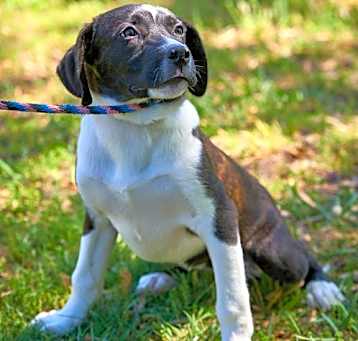 Photo of Quin is a girl. We call her Quinnie