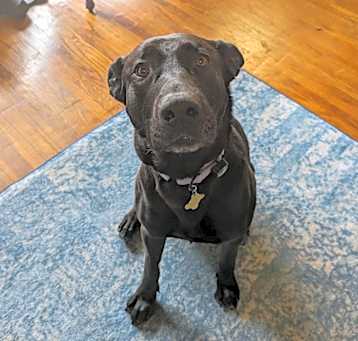 Photo of MARLEY