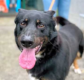 Photo of COCO