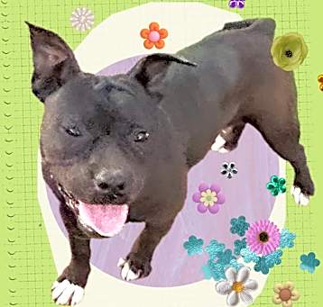 Photo of Lola Kay