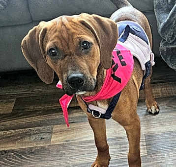 Photo of Rizzo