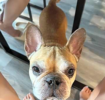Photo of Winston