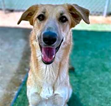 Photo of BETTY