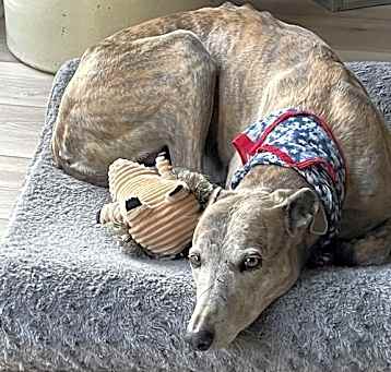 Photo of Gabby
