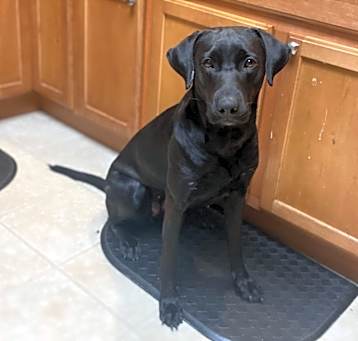 Photo of Pretty girl