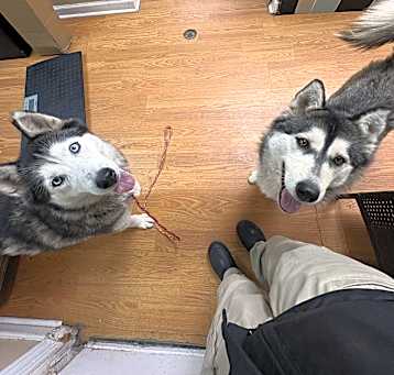 Photo of Sterling and Silver
