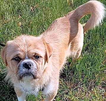 Photo of Harvey