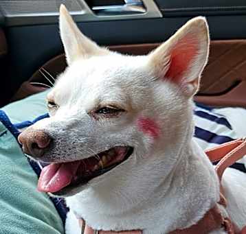 Photo of Binnie