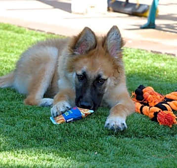 Photo of Beckett