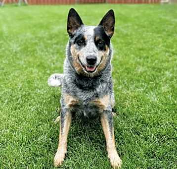 Photo of Cash
