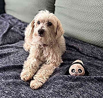 Photo of Priscilla