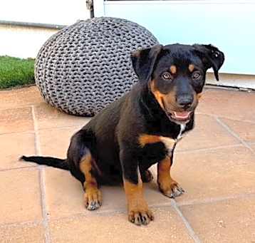 Photo of Diamond