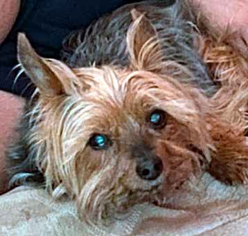 Photo of Benjamin