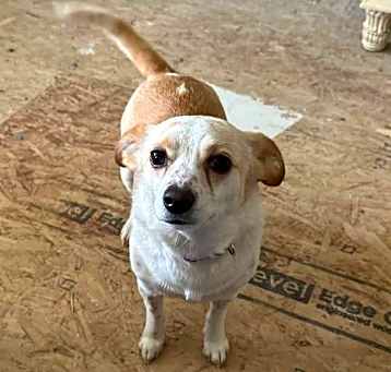 Photo of Missy