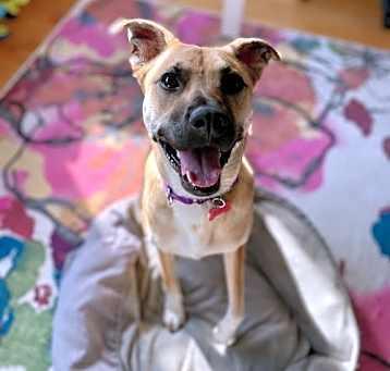 Photo of Ruby