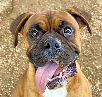 Photo of Genaro