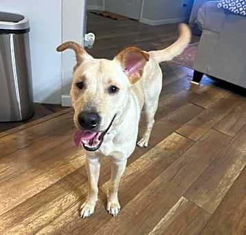 Photo of Oliver